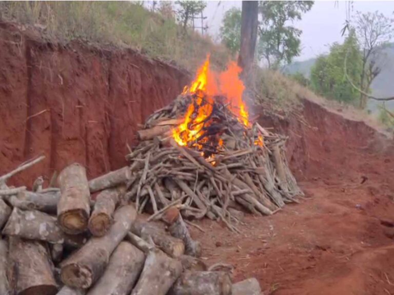 Thang noh ka tnad wildlife ïa u Hati ba shah bat ha ka bording ilektrik ha Byrnihat