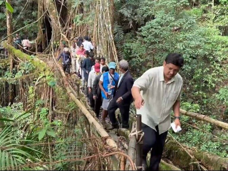 Jurip u Myntri rangbah ia ka Living Root Bridges Experience Centre, Wahlyngkhat