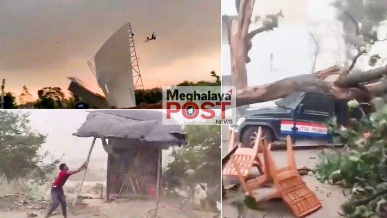 Around 100 Dead As Severe Storm And Heavy Rain Lash Uttar Pradesh