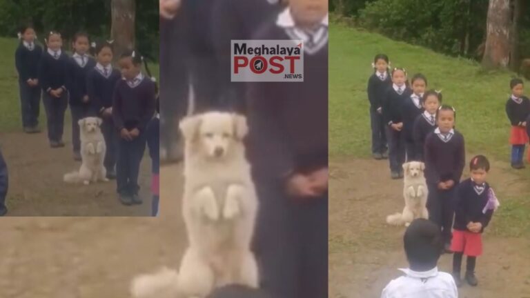 Dog Mimics Students During School Assembly In Sikkim Wins Hearts Online