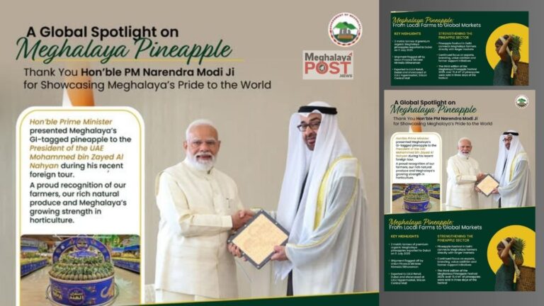 Meghalaya Pineapple Gets Global Spotlight As Pm Modi Gifts Gi Tagged Fruit To Uae President
