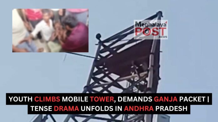 Youth Climbs Mobile Tower Demands Ganja Packet Tense Drama Unfolds In Andhra Pradesh