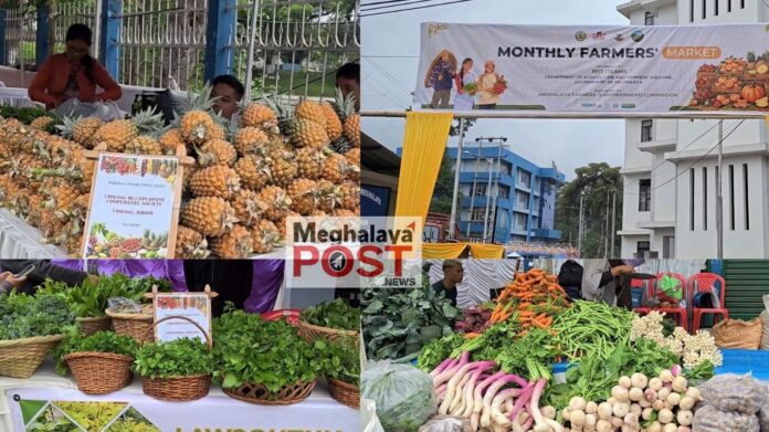 Mauritius Pineapple Among Local Produce Showcased At 6th Farmers Market In Shillong