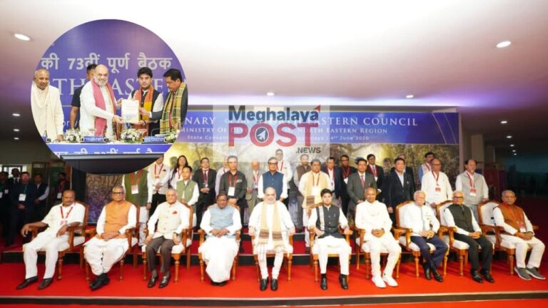Shah chairs NEC meet, task forces present reports