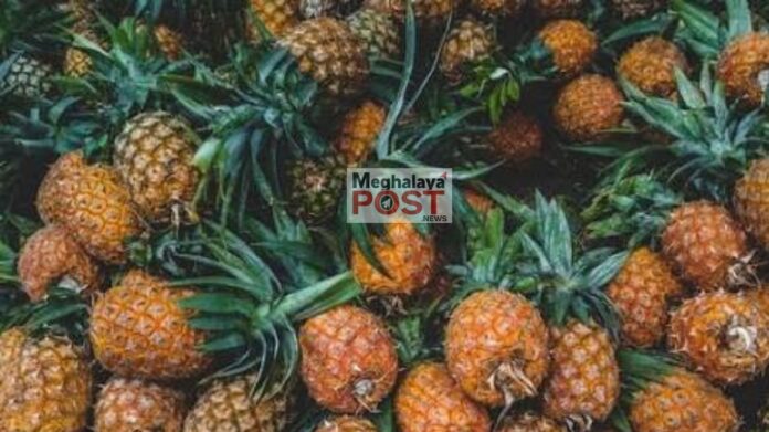 Meghalaya Pineapples Now Available In Bengaluru On Swiggy Instamart