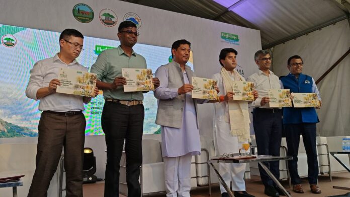 Tang mar ïa poi lut u Sohtrun Meghalaya ha Delhi, sdang ka 4th Meghalaya Pineapple Festival ba 3 sngi ha nongbah Delhi